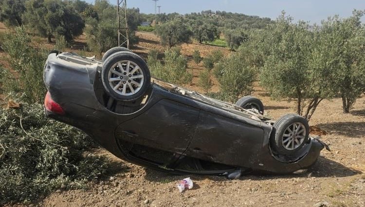 hatayda otomobil zeytin bahcesine uctu 4LjuTHxa