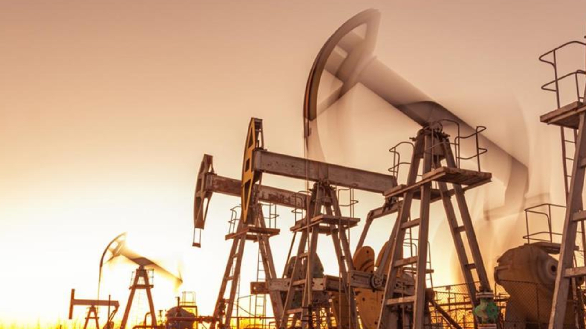 petrol hakkina muteallik karar 9ztE8v7u