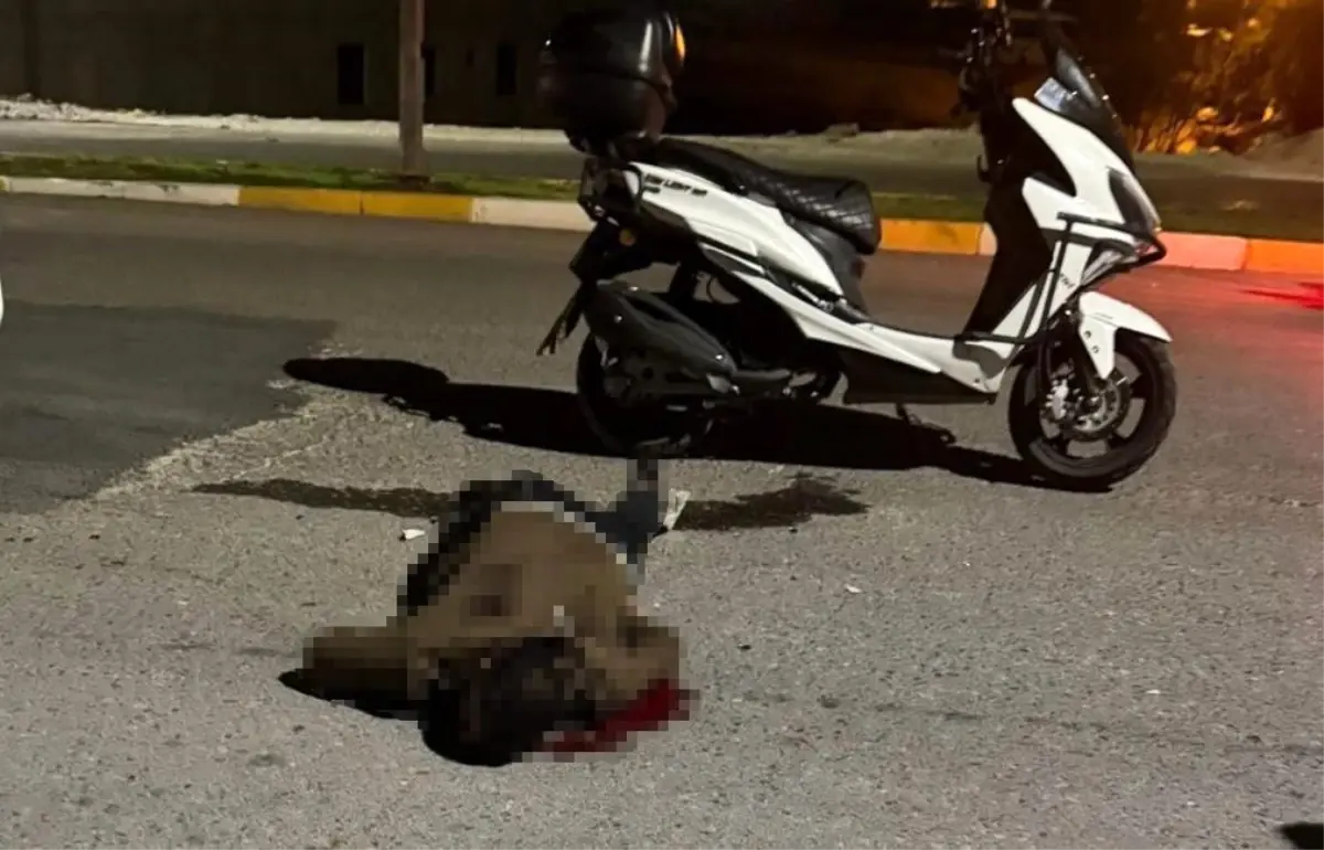 bicakli saldiri sanliurfada genc hayatini kaybetti wJpmwvk9