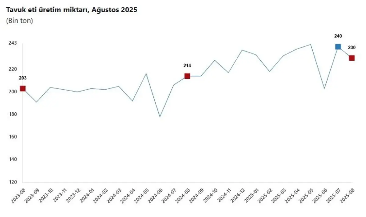 tuik agustosta tavuk eti uretimi dustu sut ve yumurtada artis Q7I1P3Ee.jpg