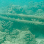 cinden-derin-deniz-hamlesi-internetin-ana-damarlari-tehlikede-mi-plEkaBZV